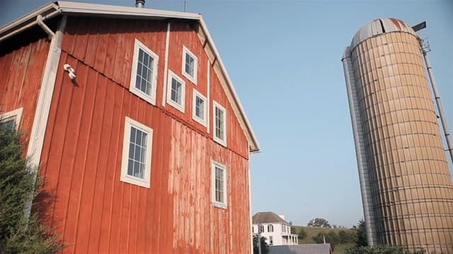 Andrew Bird: Fever Year