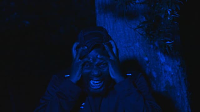 The Prisoner