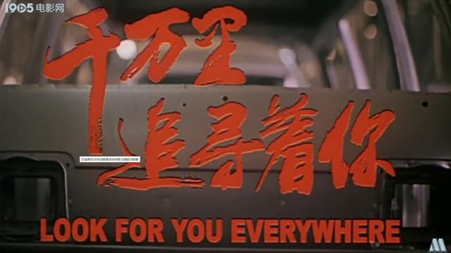 Look For You Everywhere