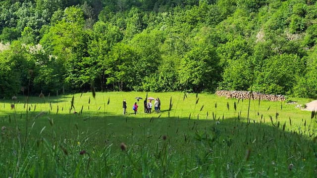 Why Have You Left Us