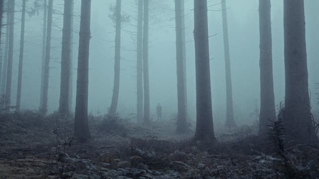 Peter will verschwinden