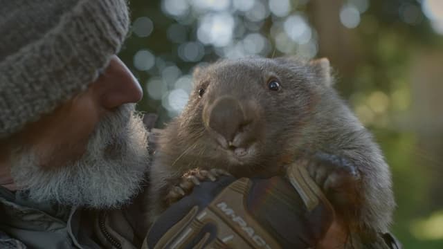 Notre nouveau monde : quand la terre nous surprend