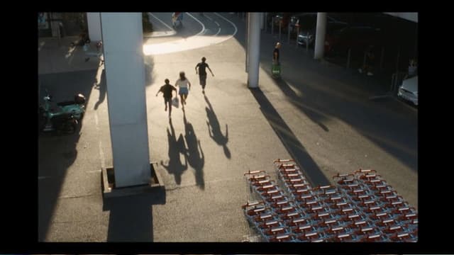 La nostalgie des dodos