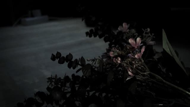 The Flower