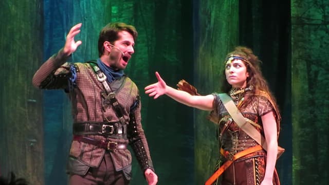 Robin Hood and the Justice Fighters The Musical