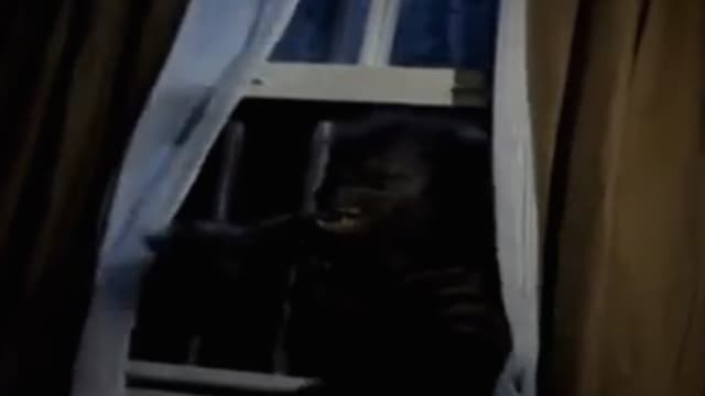 Goosebumps: Werewolf Skin