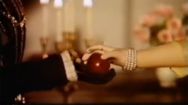 The Beauty and The Beast