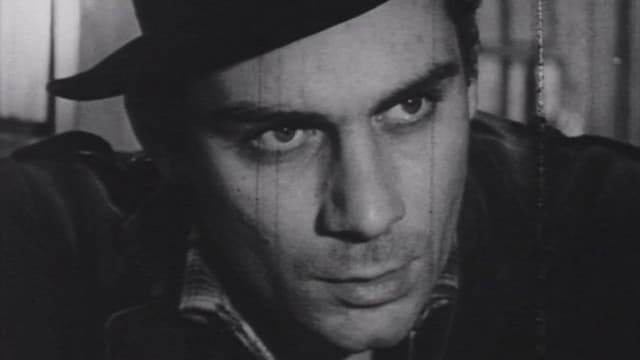 The Felling of the Forest