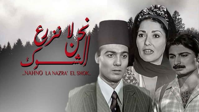 نحن لا نزرع الشوك