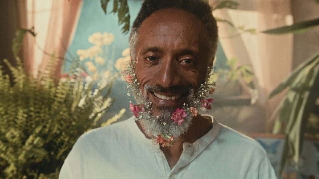 The Gentle Flutter of the Butterflies