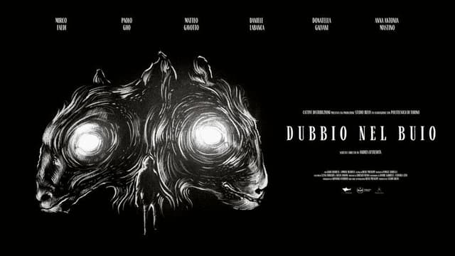 Dubbio nel buio
