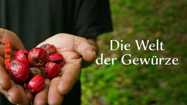 Welt der Gewürze