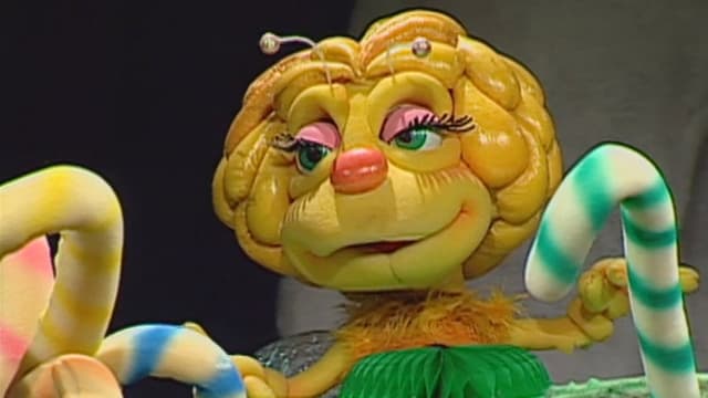 Zuzubalândia