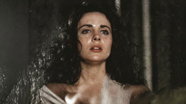 Loves with Gravity: The Knight, Snow White and The Traitor