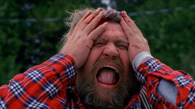 The American Scream