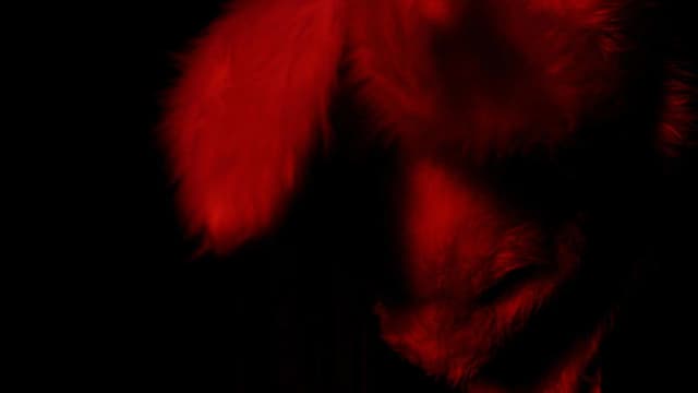 Machines For Living In