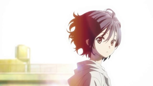 The Diary of Our Days