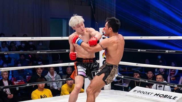 KNOCK OUT 61