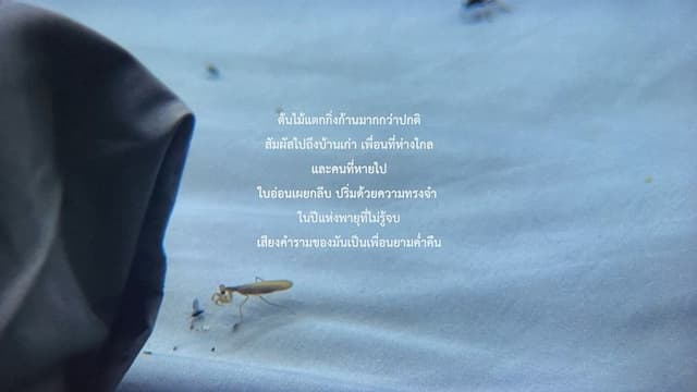 The Year of the Everlasting Storm