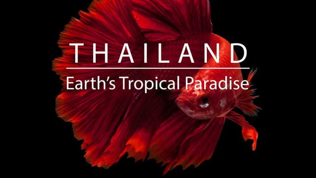 Thailand: Earth's Tropical Paradise