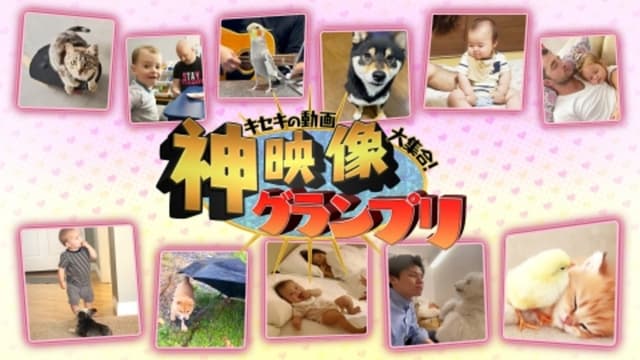 Kiseki no Dōga Daishūgō! Kami Eizō Grand Prix