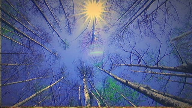 Cologne: artificial (Labajura Remix)