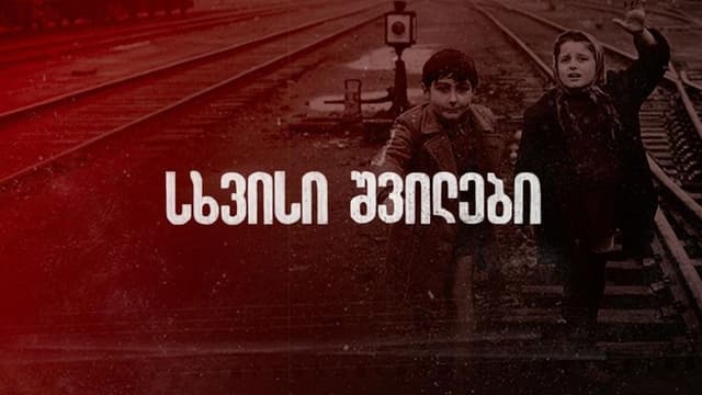 Somebody Else's Children