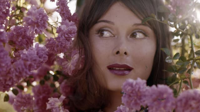 Chiamatemi Divina - Dorian Gray, storia di un'attrice dimenticata