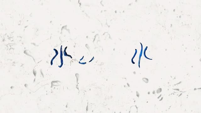 Water, Water