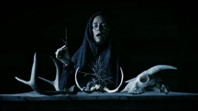 Mother of Flies