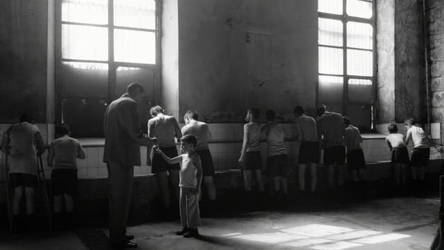 Giannis in the Cities