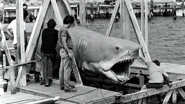 The Shark Is Still Working