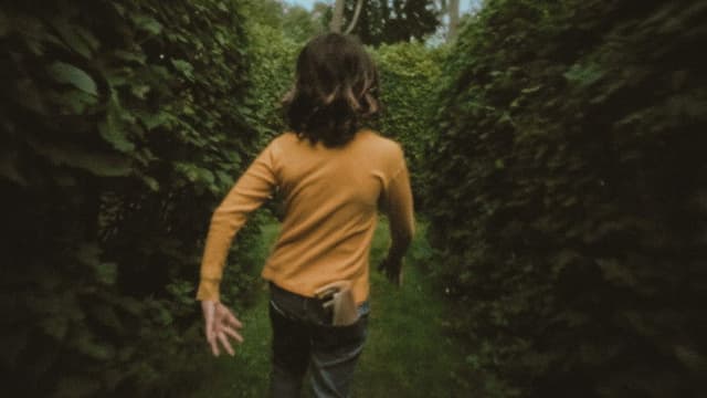 In and Out of the Hornbeam Maze