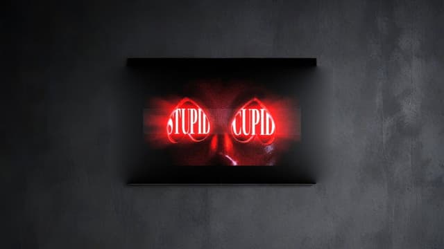 STUPID CUPID