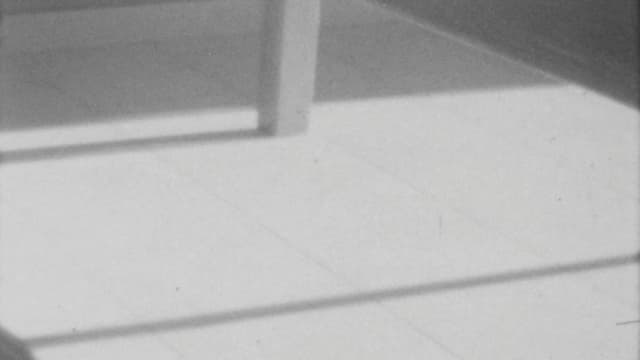 Easter Sunday at Félines