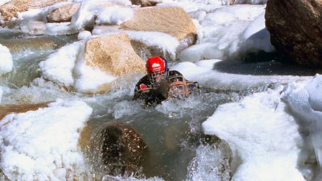 Le Nageur du Gange