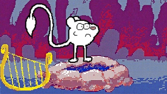 The Odyssey of Klassik