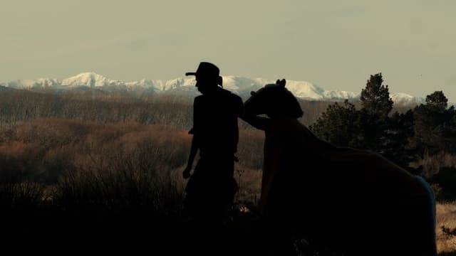 The True Story of Billy the Horse