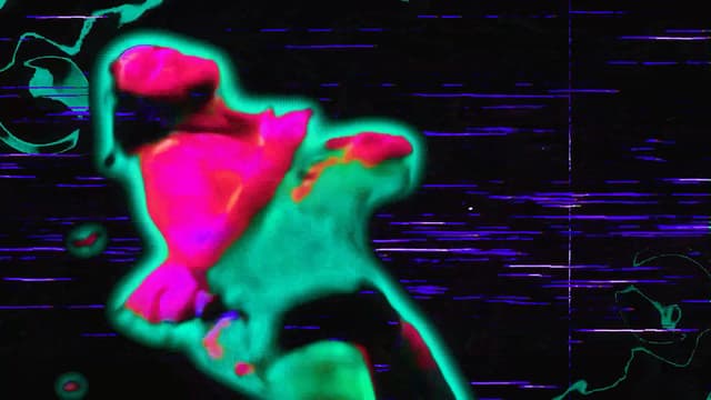 Desinteligência Natural