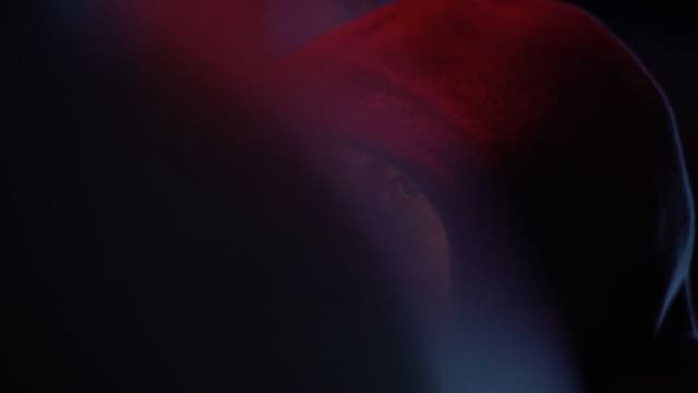 The Choice - The Risks of Web Democracy