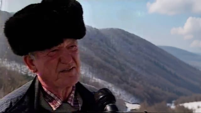Ștei