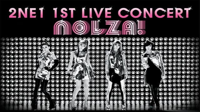 2NE1: 1st Live Concert NOLZA