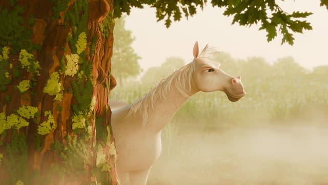 Dominykas the Horse's Journey to the Stars
