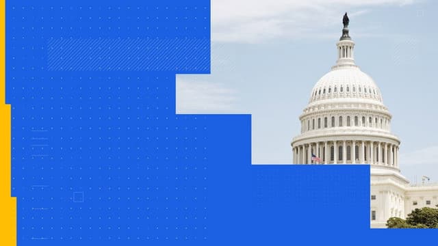 MS NOW Reports