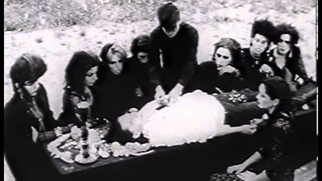 Bad Blood for the Vampyr