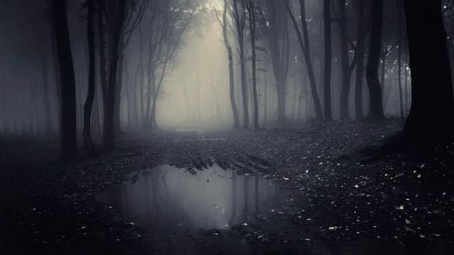 A Lenda do Homem Pássaro