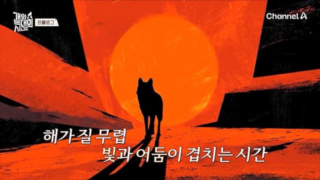개와 늑대의 시간