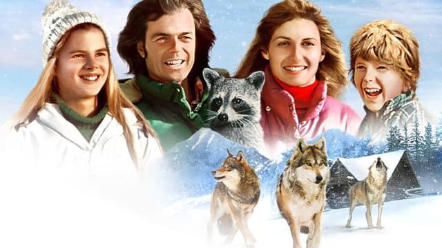 Adventures of the Wilderness Family 2