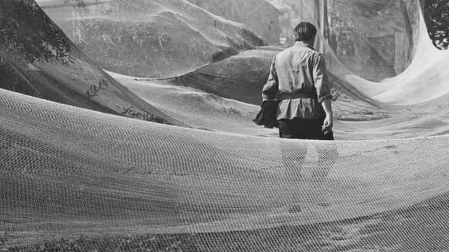 June, the Beginning of Summer